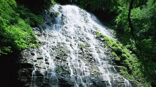 智能系统信息化高端